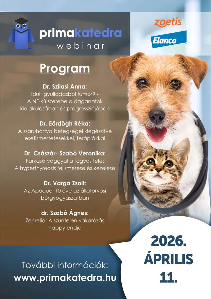 primakatedra-20260411 Primakatedra (társ) 2026.04.11.