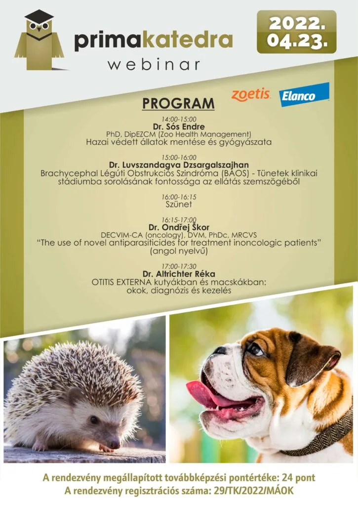 Primakatedra 2022.04.23. társállat