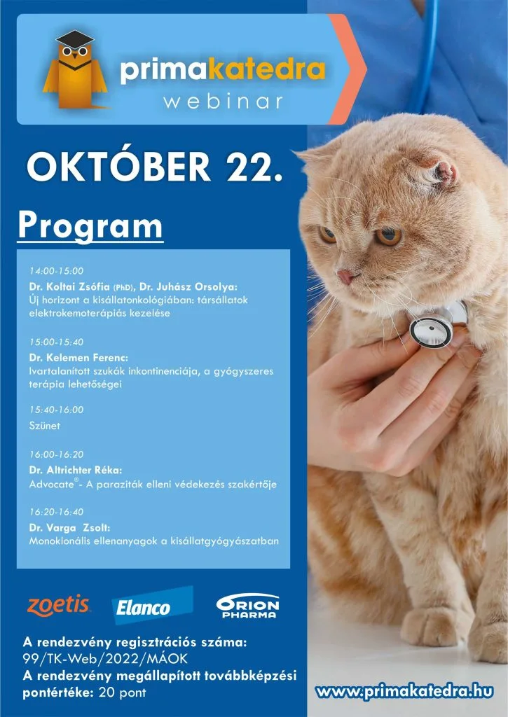 Primakatedra 2022.10.22. társállat