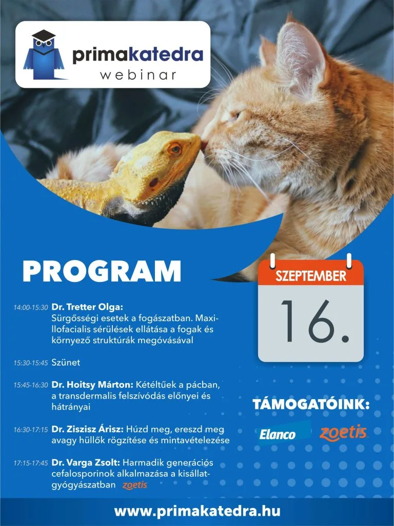 Primakatedra 2023.09.16. társállat