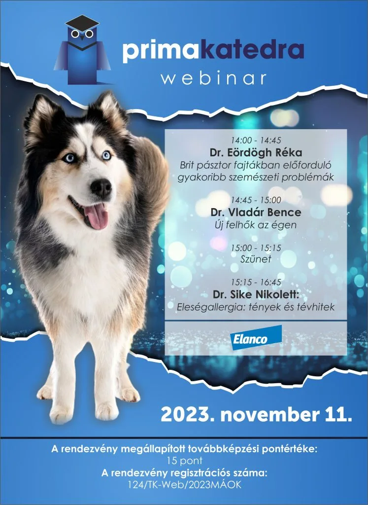Primakatedra 2023.11.11. társállat