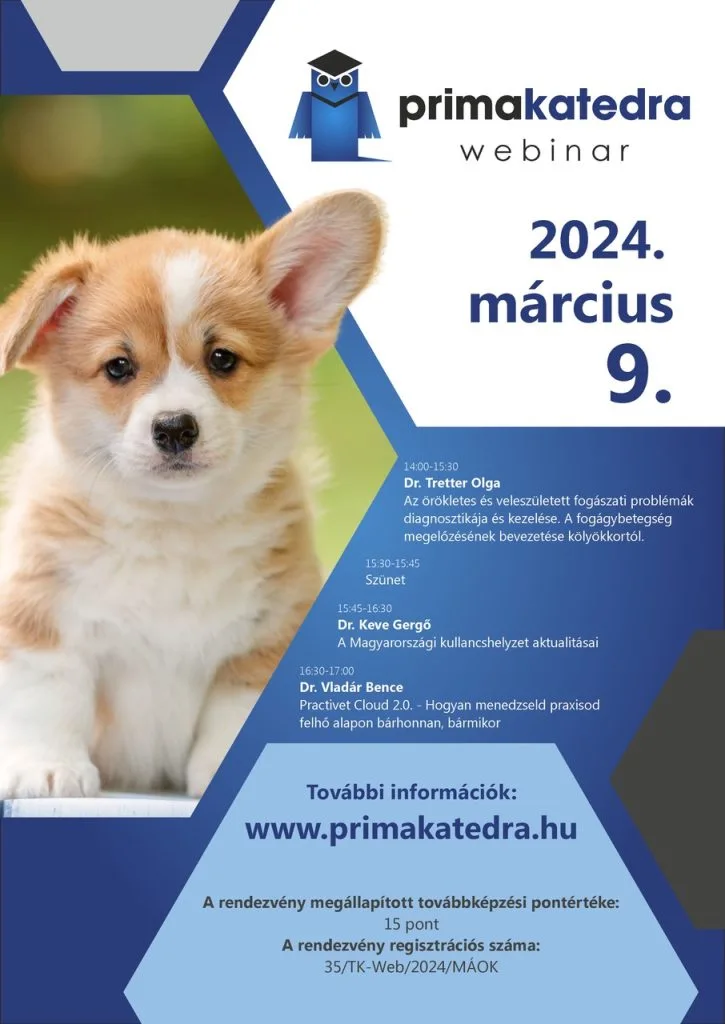 Primakatedra 2024.03.09. társállat