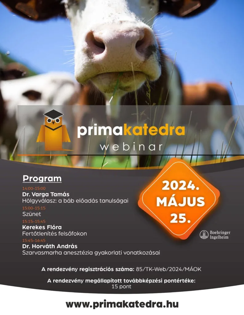 Primakatedra 2024.05.25. haszonállat