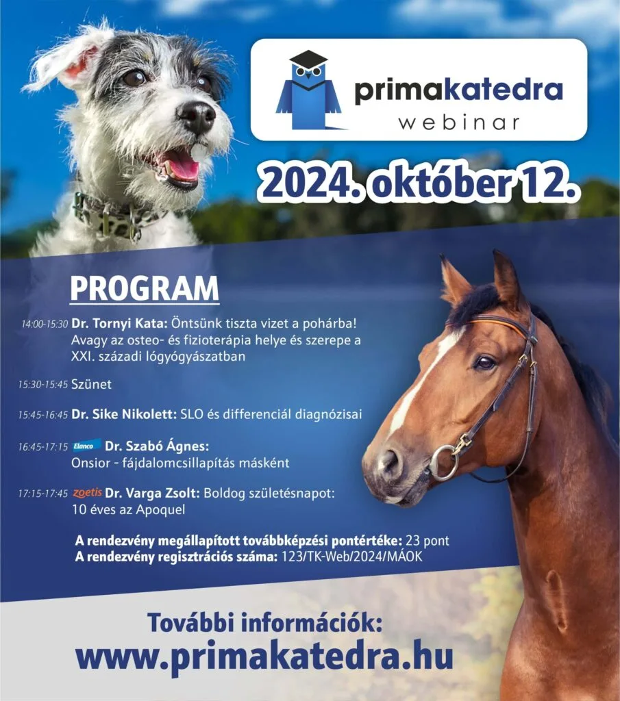 Primakatedra 2024.10.12. társállat