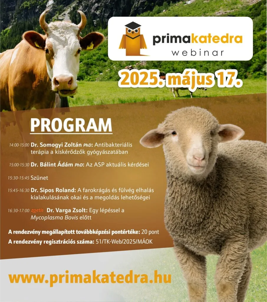 Primakatedra 20250517 haszon webinar