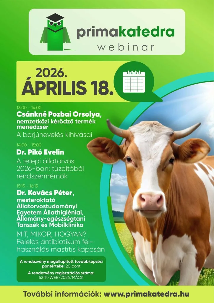 Primakatedra haszon 20260418